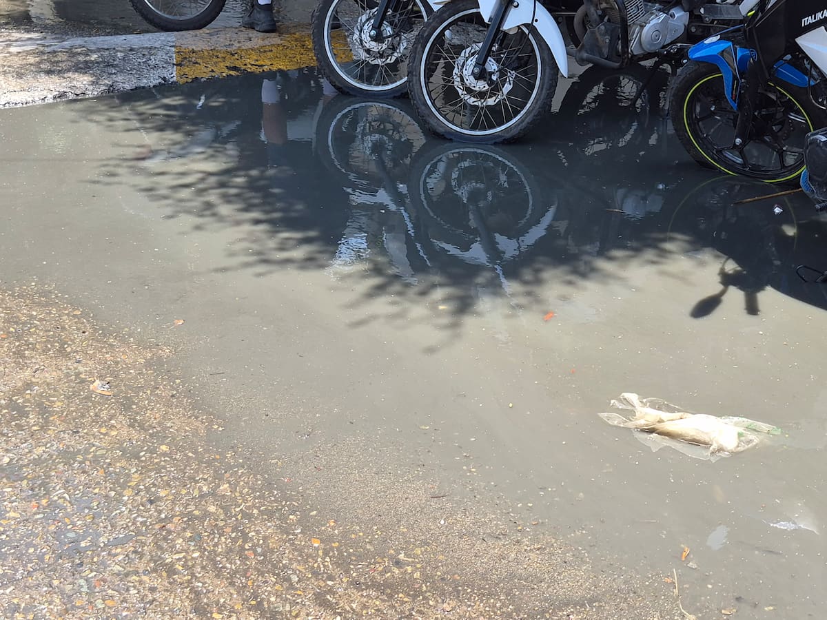 Vecinos señalan que el problema inició hace un mes aproximadamente y que en los últimos días se ha intensificado. Foto: Michelle Castillo.