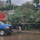 Lluvias y fuertes vientos causan daños en Nogales