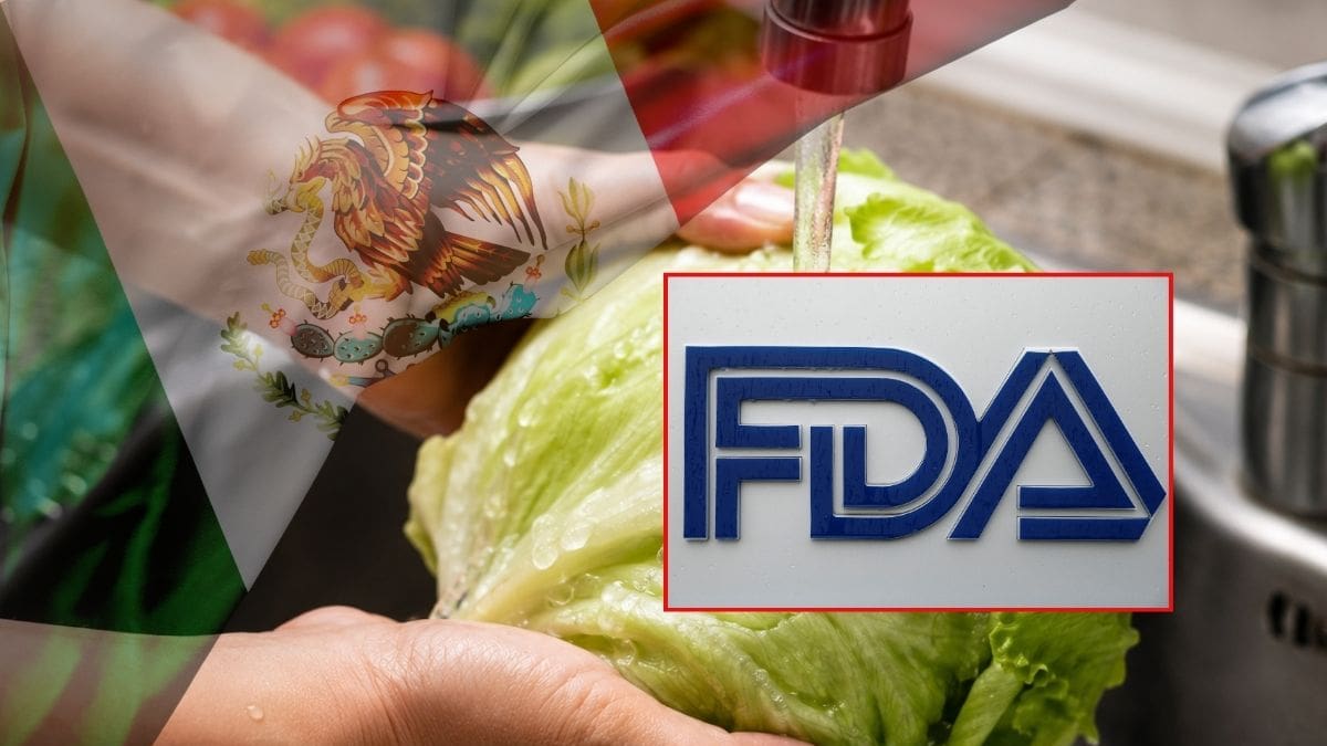 FDA se retracta del supuesto hallazgo de Cyclospora en lechuga de México tras confirmar un falso positivo, pero mantiene la investigación por 1,644 casos y 94 hospitalizaciones en Estados Unidos