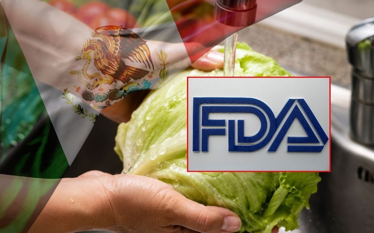 Un falso positivo cambia la investigación de Cyclospora en EEUU, pero la FDA mantiene bajo revisión la lechuga iceberg de Taylor Farms vinculada epidemiológicamente con el brote. | Crédito: REUTERS/ChatGPT