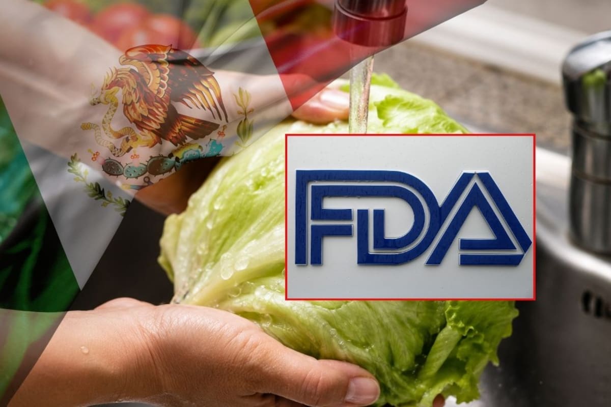 FDA se retracta del supuesto hallazgo de Cyclospora en lechuga de México tras confirmar un falso positivo, pero mantiene la investigación por 1,644 casos y 94 hospitalizaciones en Estados Unidos