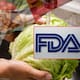FDA se retracta del supuesto hallazgo de Cyclospora en lechuga de México tras confirmar un falso positivo, pero mantiene la investigación por 1,644 casos y 94 hospitalizaciones en Estados Unidos