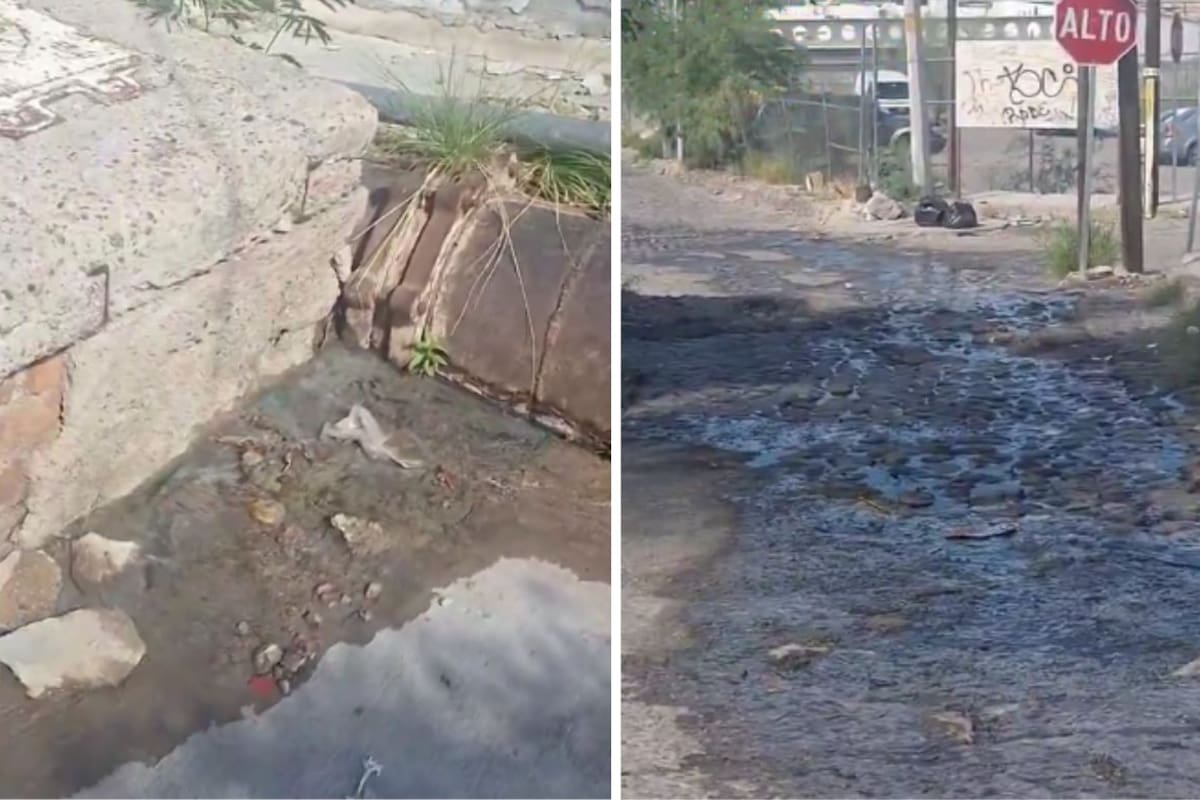 Una fuga de agua lleva más de un mes en la colonia Centro de Hermosillo y los vecinos reportan malos olores y cucarachas