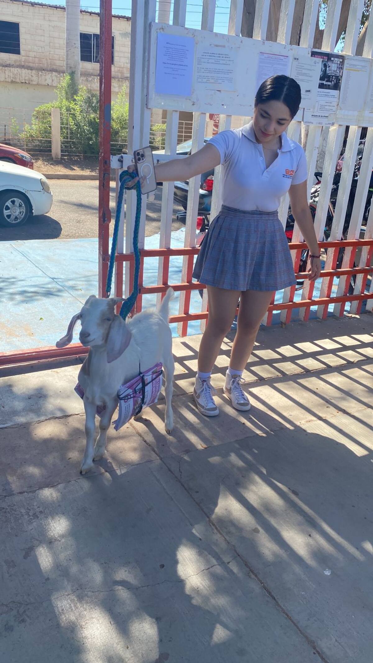 La actividad se realizó en el marco del Día de la Mochila Loca, donde los alumnos pudieron sustituir su mochila tradicional por objetos creativos. Foto: Facebook @COBACHSON