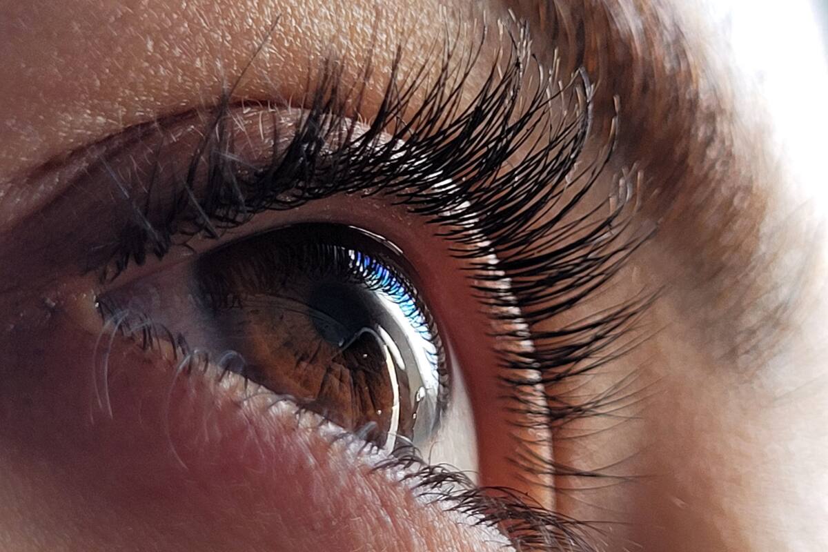 Es temporada de “caída de pestañas”: Síntomas comunes y cómo saber si algo no anda bien