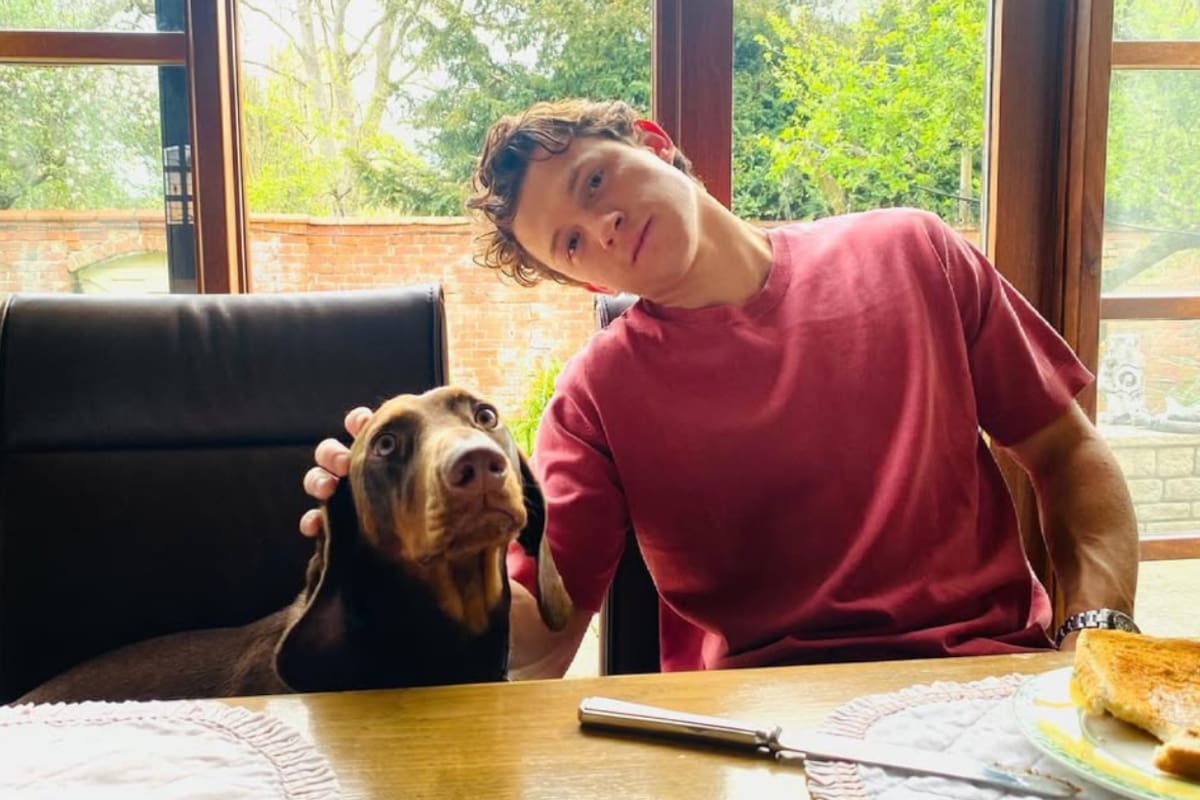 “No me gusta Hollywood, no es para mí”: Tom Holland se sincera sobre la fama y su vida fuera del cine (VIDEO)