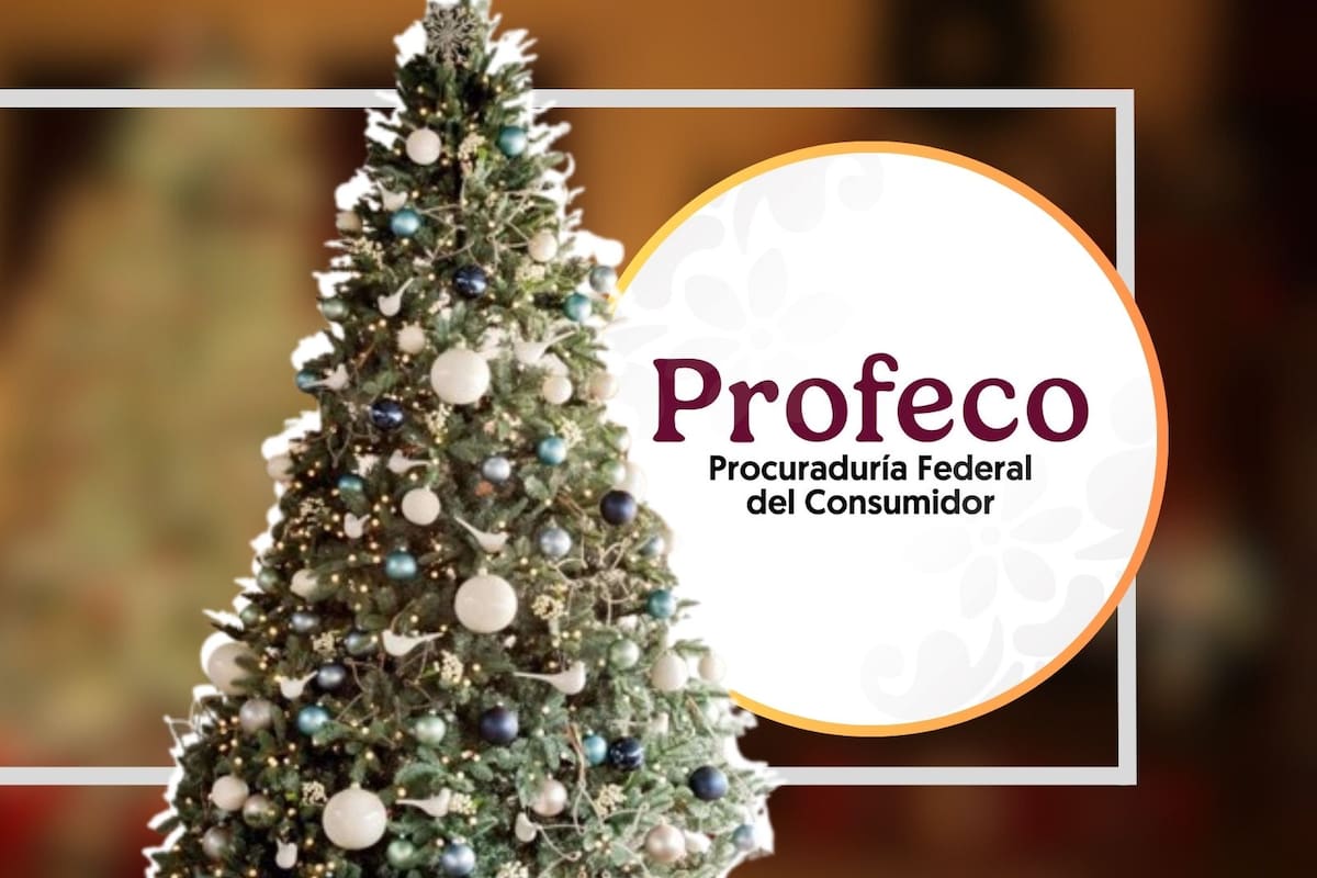 Profeco inicia operativo para inspeccionar árboles de Navidad importados