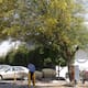Mexicali entra en su semana más sofocante; sensación térmica rozará los 50 grados
