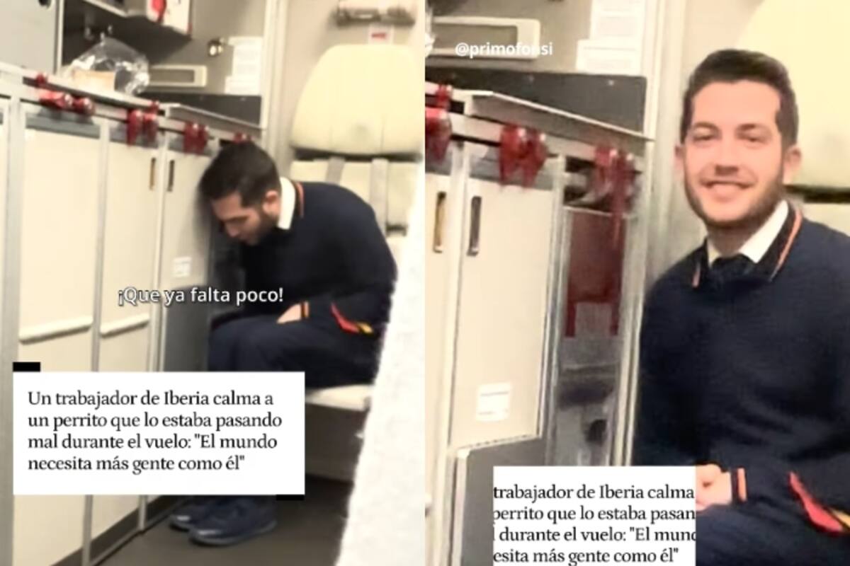“¡Ya llegamos, no llores!”: Trabajador de aerolínea se vuelve viral por consolar a un perrito angustiado durante el vuelo