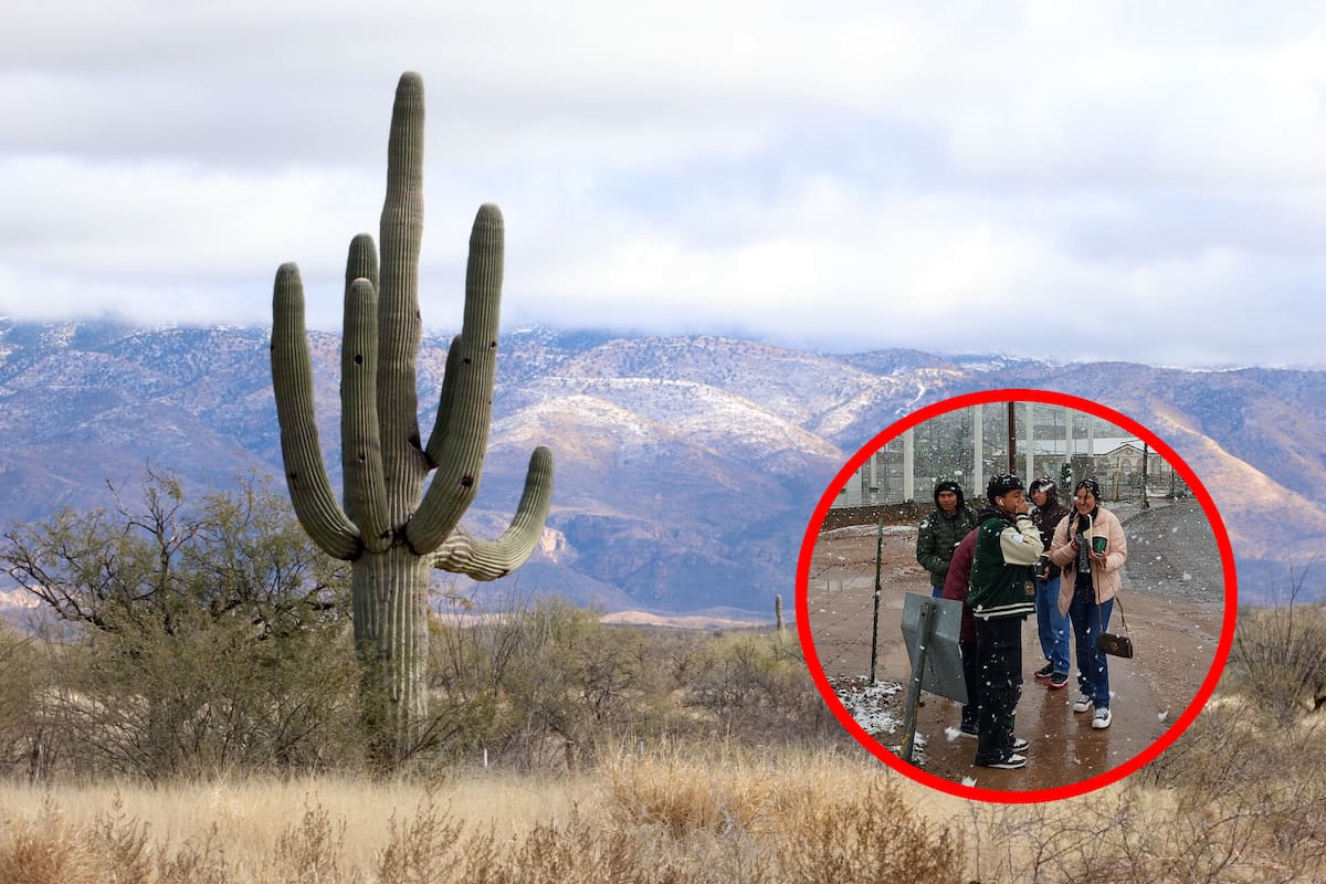 Clima: Estos estados se estarán “congelando” por el frente frío 5 con mínimas de -5 a 0 °C