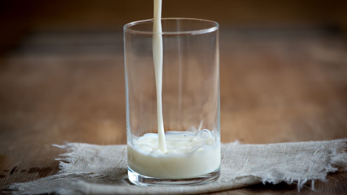 Gracias a una mutación genética que permite producir lactasa en la edad adulta, muchas personas pueden consumir leche sin problemas/Foto: Canva