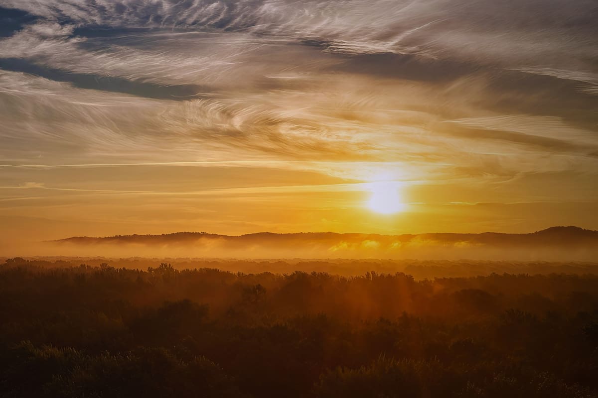 Las estaciones del año están cambiando radicalmente con veranos mucho más largos e inviernos más cortos a causa del calentamiento global