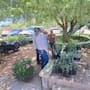 Vivero Estatal de Sonora regala plantas y árboles frutales; ciudadanos pueden solicitar hasta cinco especies cada mes: ¿dónde se ubica en Hermosillo?