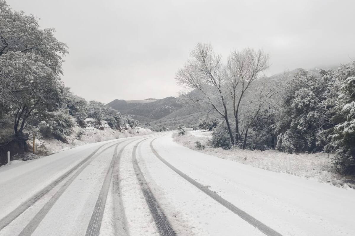Clima en Sonora: Nuevo frente frío que llegará al Estado traería más lluvias y nevadas