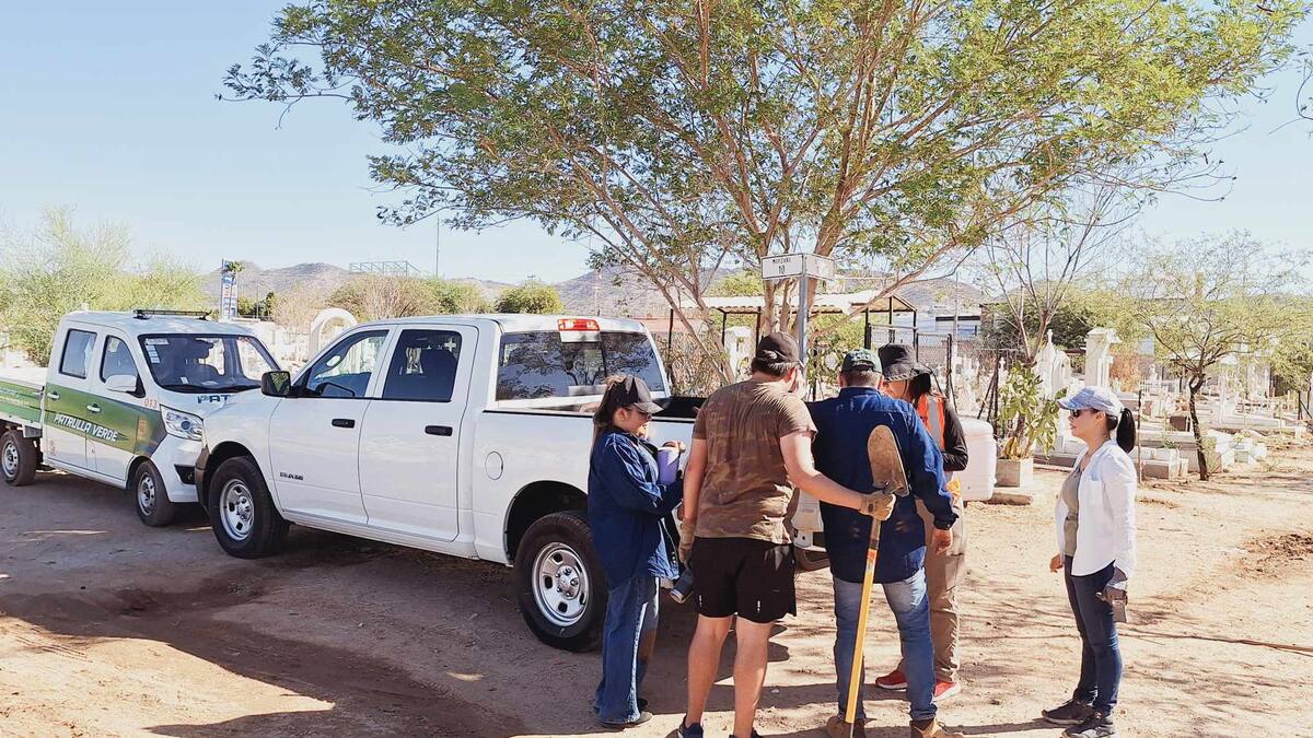 Caminantes del Desierto reforestan 500 árboles nativos