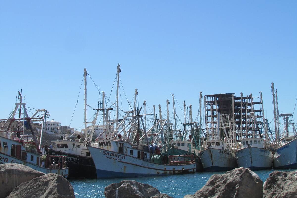 Queda puerto de Peñasco en Sonora a cargo de la Marina