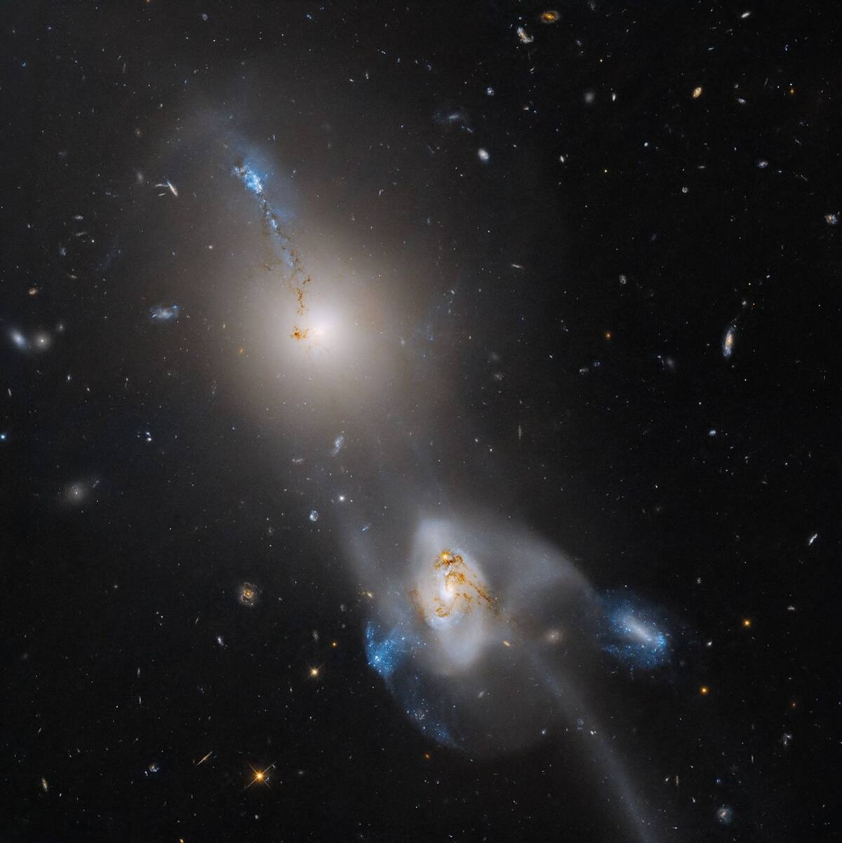 La guitarra cósmica: Hubble observa la fusión en curso de dos galaxias masivas