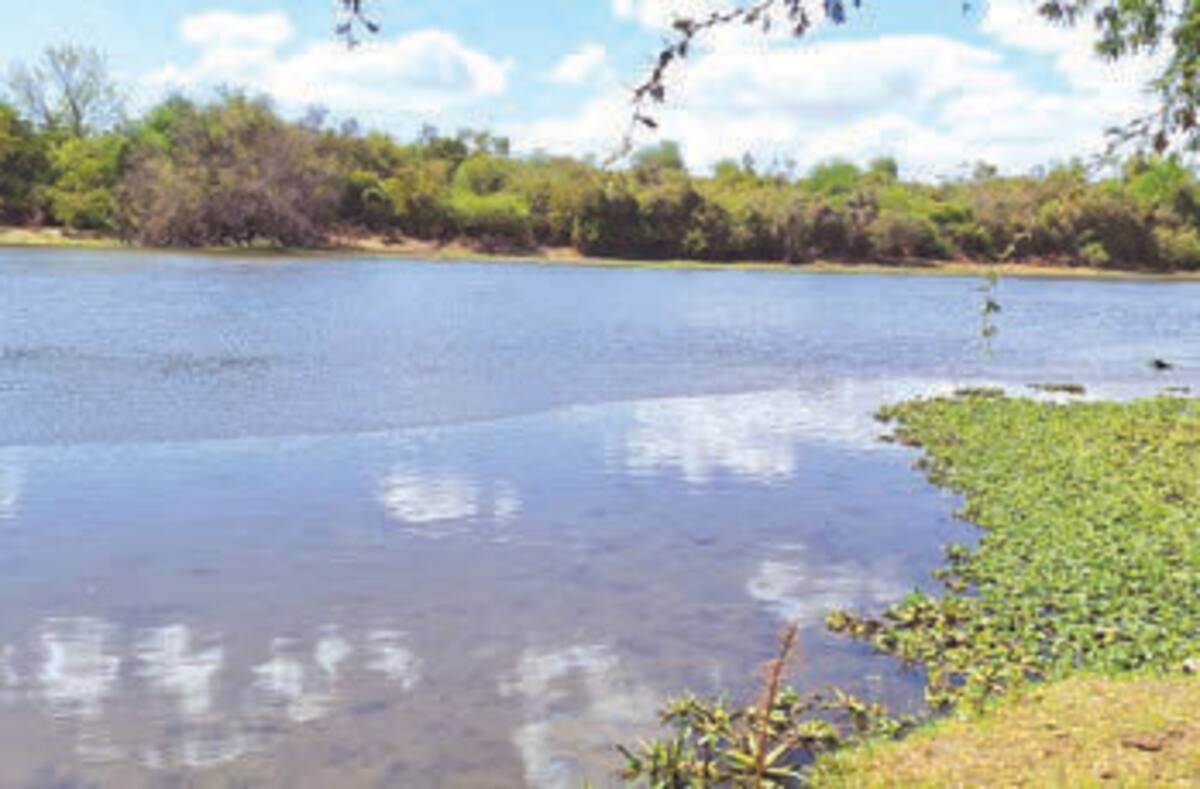 El caso refleja una cruda realidad: los CDC reportan más de 4 mil muertes anuales por ahogamiento no intencional en EEUU, siendo la principal causa de muerte en niños de 1 a 4 años.