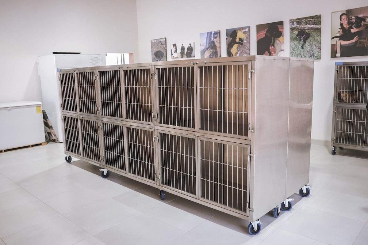 Capturan a perro que atacó a un niño en el fraccionamiento Buenos Aires