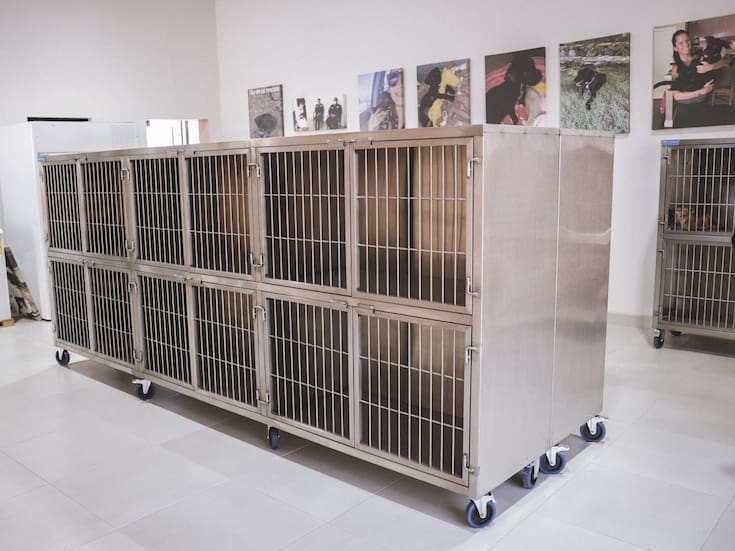 Capturan a perro que atacó a un niño en el fraccionamiento Buenos Aires