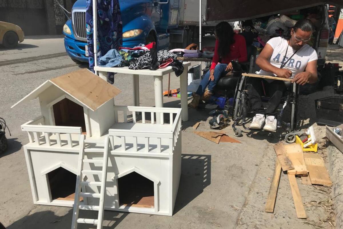 Matrimonio construye casas para mascotas