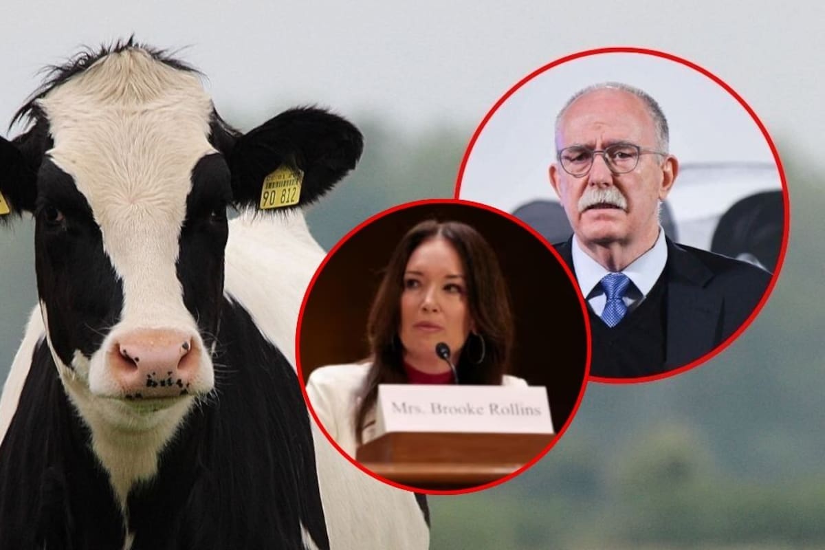 Brooke Rollins se reúne con Julio Berdegué para revisar el cierre fronterizo al ganado mexicano antes de su encuentro con Sheinbaum