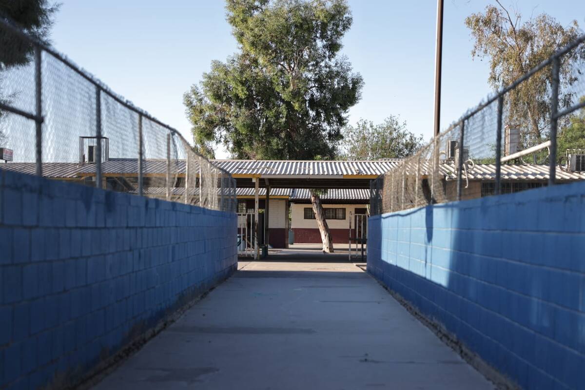 Escuelas de BC vuelven a abrir sus puertas