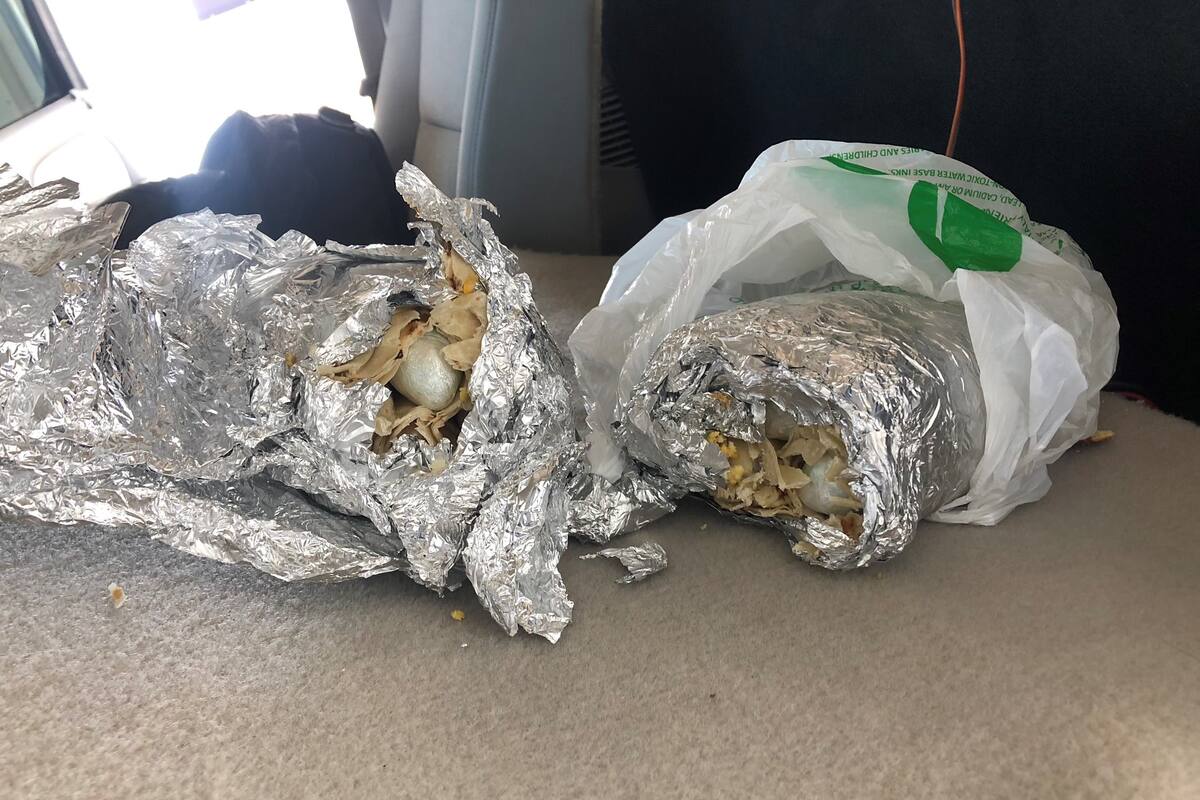 Confiscan fentanilo en “burritos”