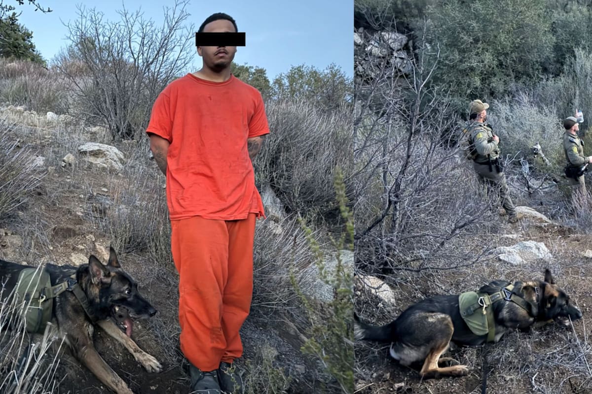 Detienen a reo que escapó en San Diego