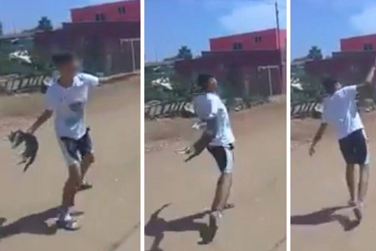Viralizan caso de maltrato animal en Ensenada