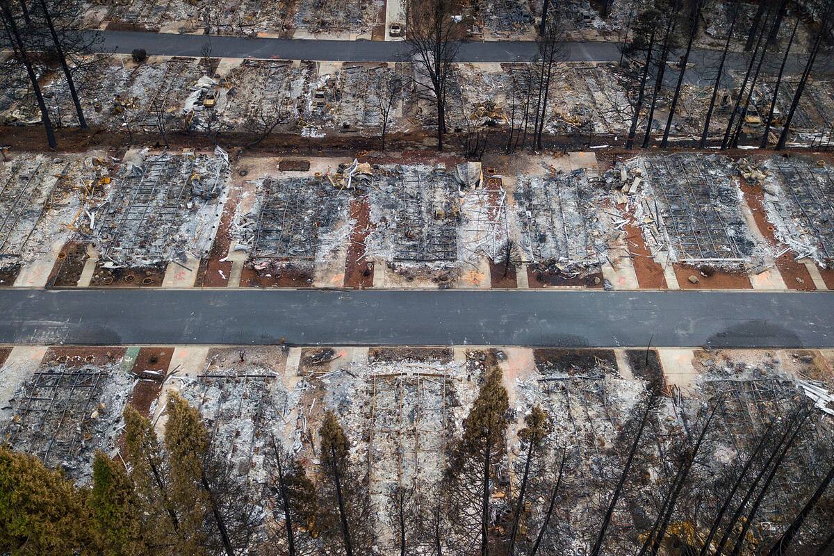 California: Compañía eléctrica sería la culpable de mortales incendios