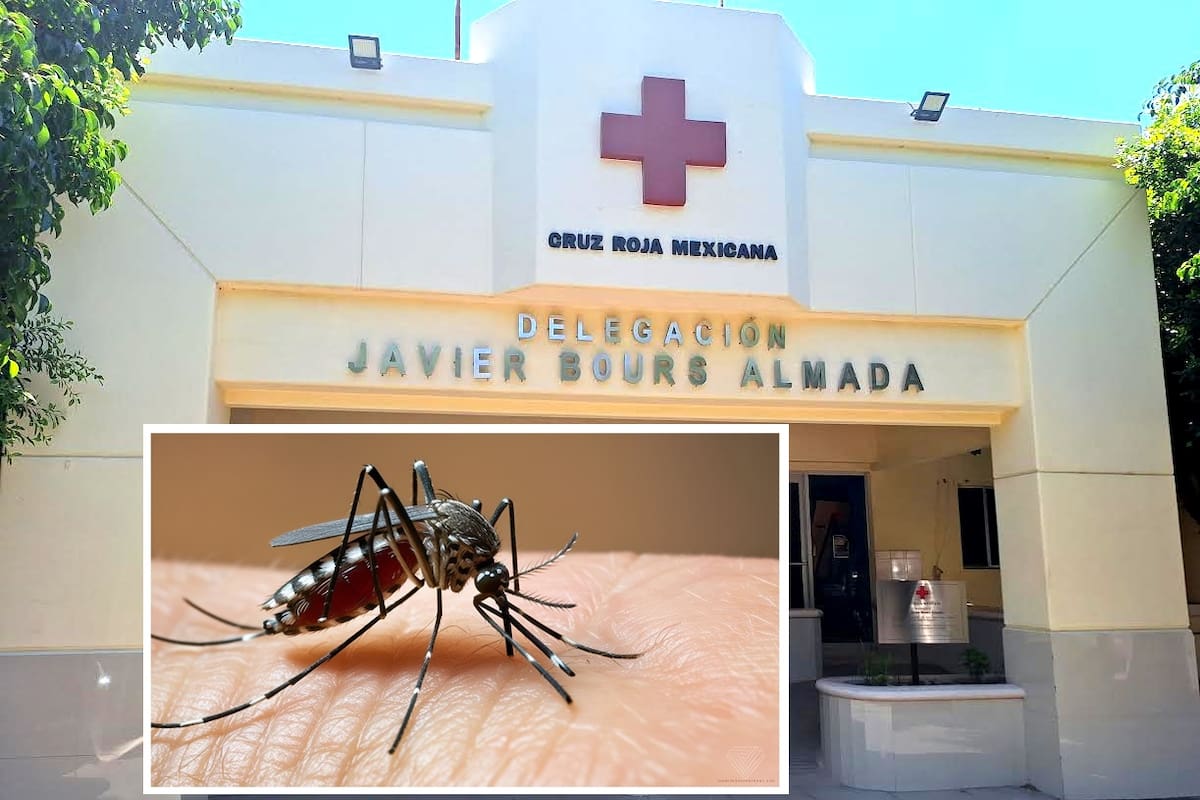 Ciudad Obregón registra alza en casos sospechosos de dengue