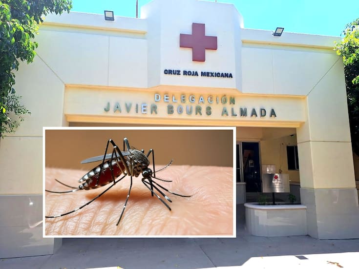 Ciudad Obregón registra alza en casos sospechosos de dengue