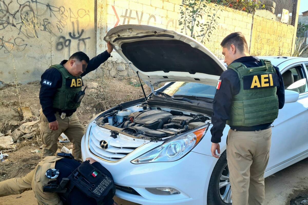 Agencia Estatal de Investigación asegura 15 vehículos con reporte de robo en Ensenada