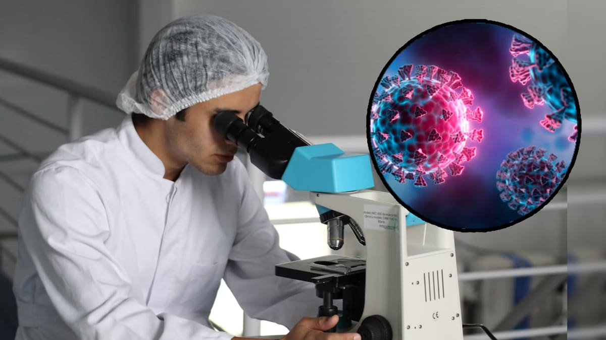 Expertos estiman que una pandemia de gripe aviar sería más grave que la que se vivió con el Covid-19.