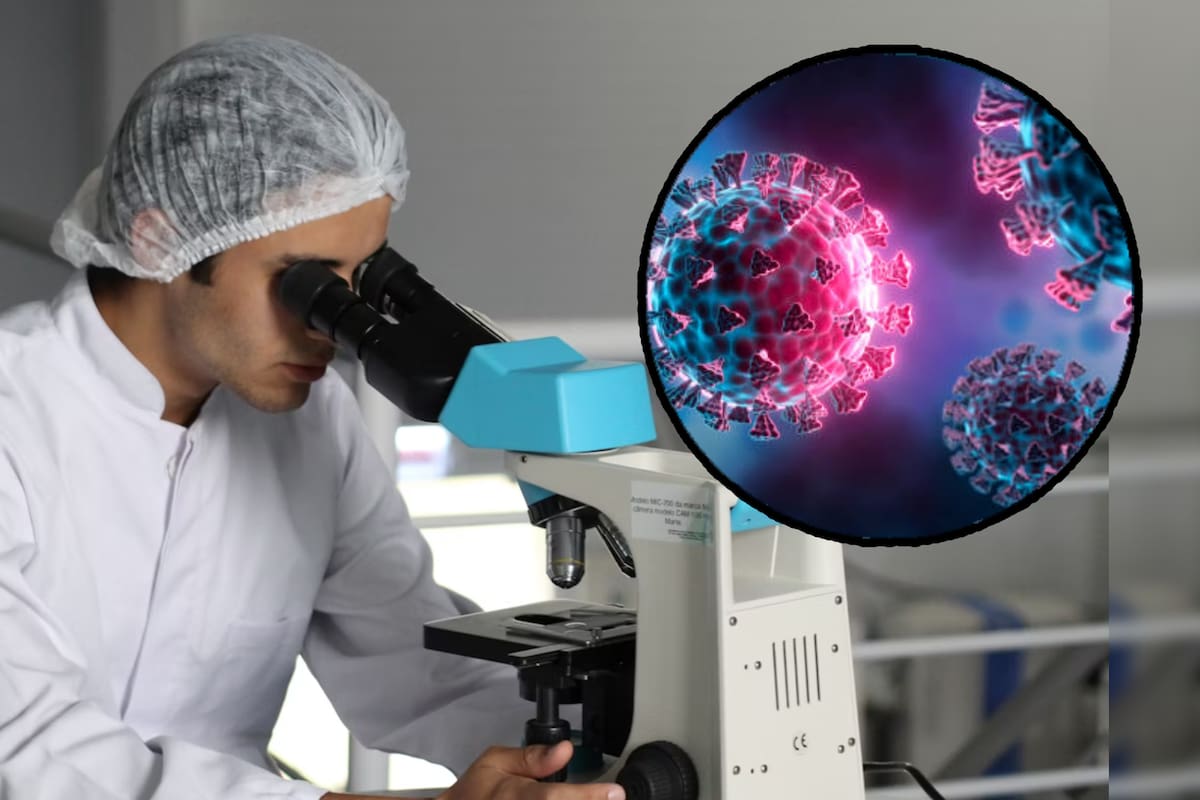 Científico afirma existencia de pruebas de que el COVID-19 fue creado intencionalmente en laboratorio chino