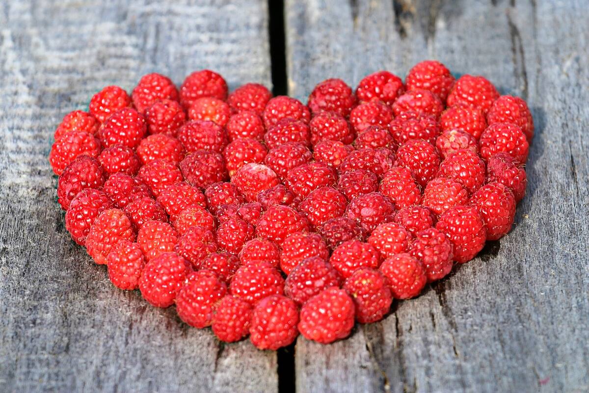 Claves para tener un corazón saludable