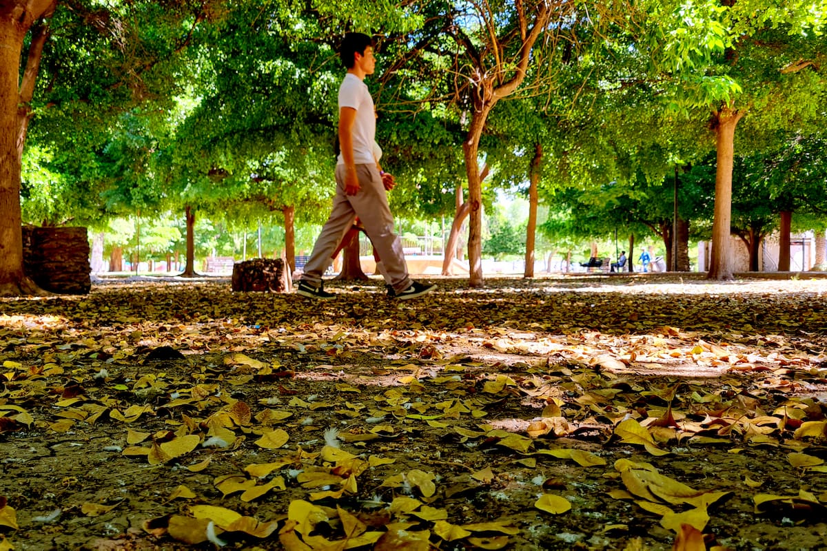 Adiós al verano: Hoy inicia el equinoccio de otoño en el hemisferio Norte