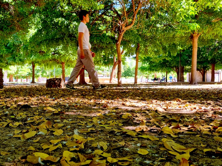 Otoño 2025: qué es el equinoccio, cuándo ocurre y qué señales observar