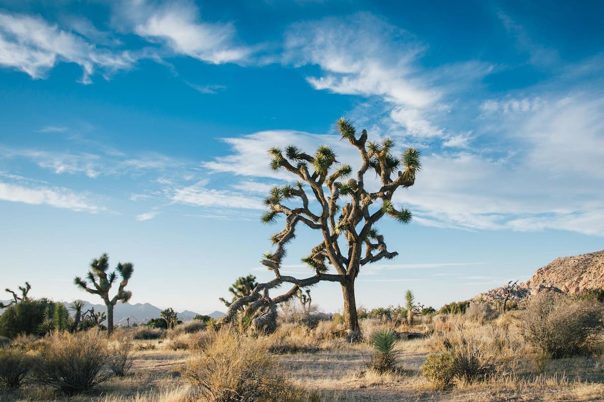 ¿Qué es la canícula y cuándo inicia en 2021?