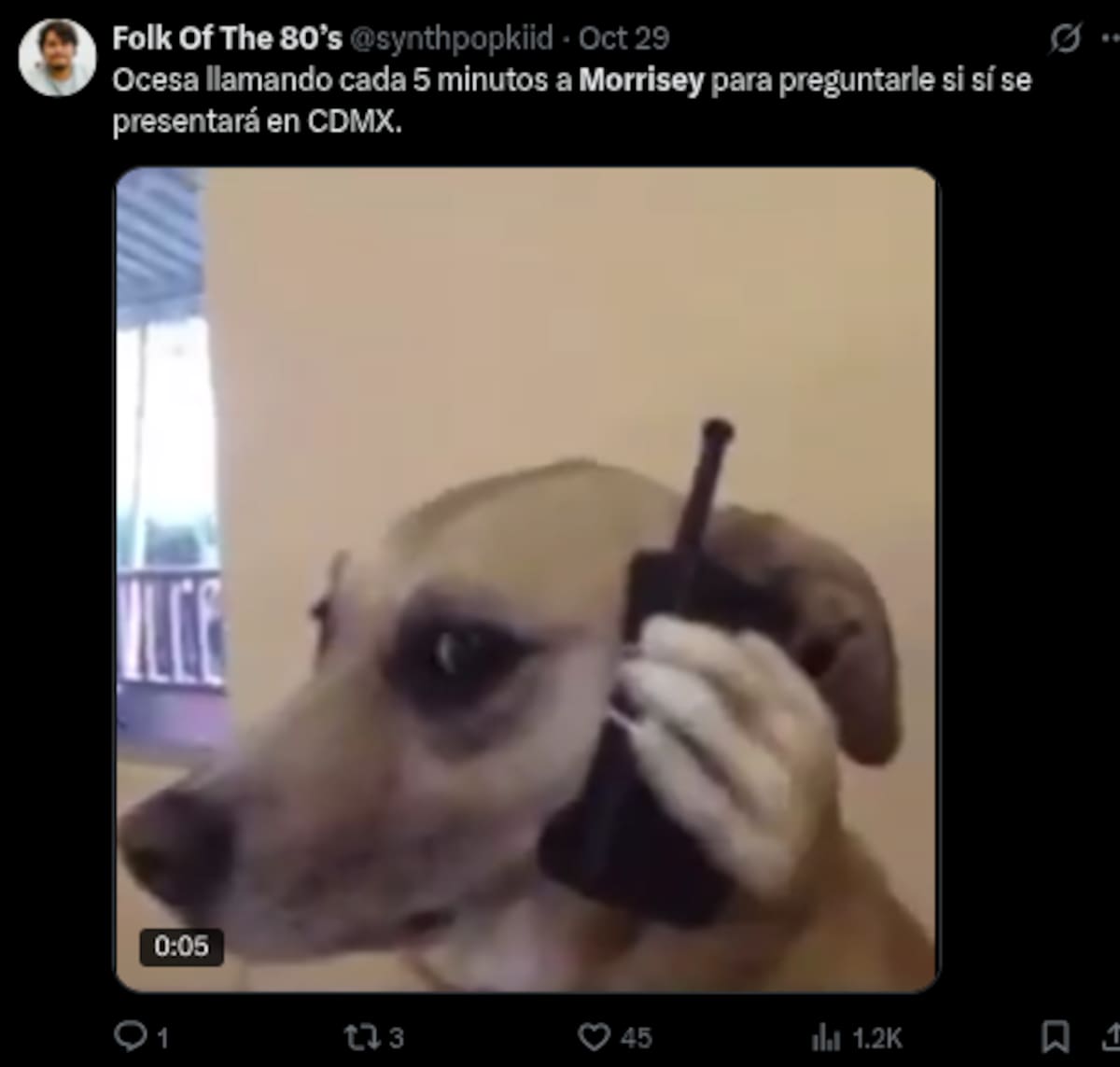 Memes del concierto de Morrisey en el Palacio de los Deportes 2025 | Cuenta de X: @synthpopkiid