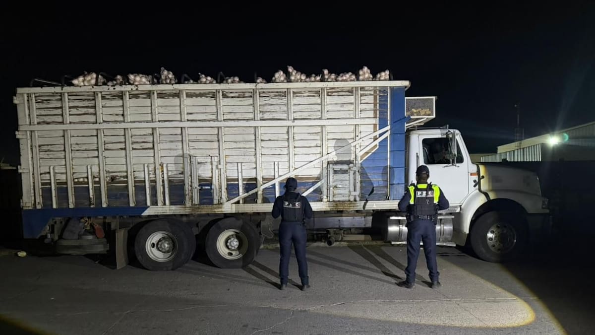 Recuperan un camión robado con 20 toneladas de cebolla valuadas en casi 500 mil pesos, una incautación que evita pérdidas al campo, en un estado donde ya se han asegurado mercancías por más de 176 millones de pesos