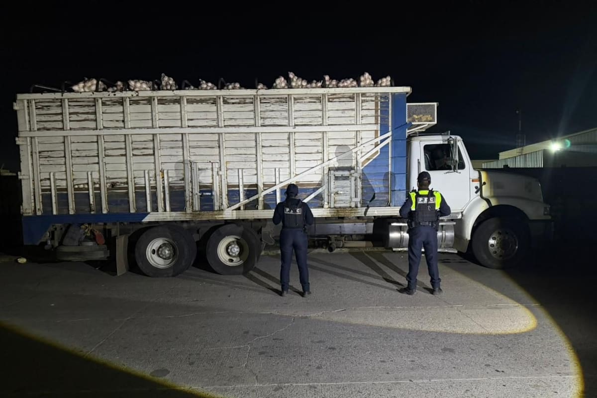Recuperan un camión robado con 20 toneladas de cebolla valuadas en casi 500 mil pesos, una incautación que evita pérdidas al campo, en un estado donde ya se han asegurado mercancías por más de 176 millones de pesos