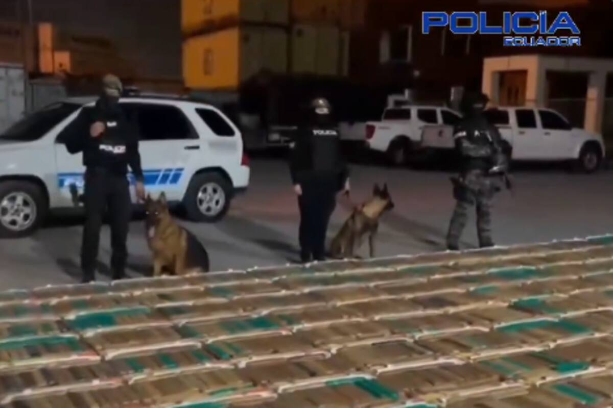 Ecuador: decomisan 2488 bloques de cocaína transportados en contenedor de piñas a Alemania