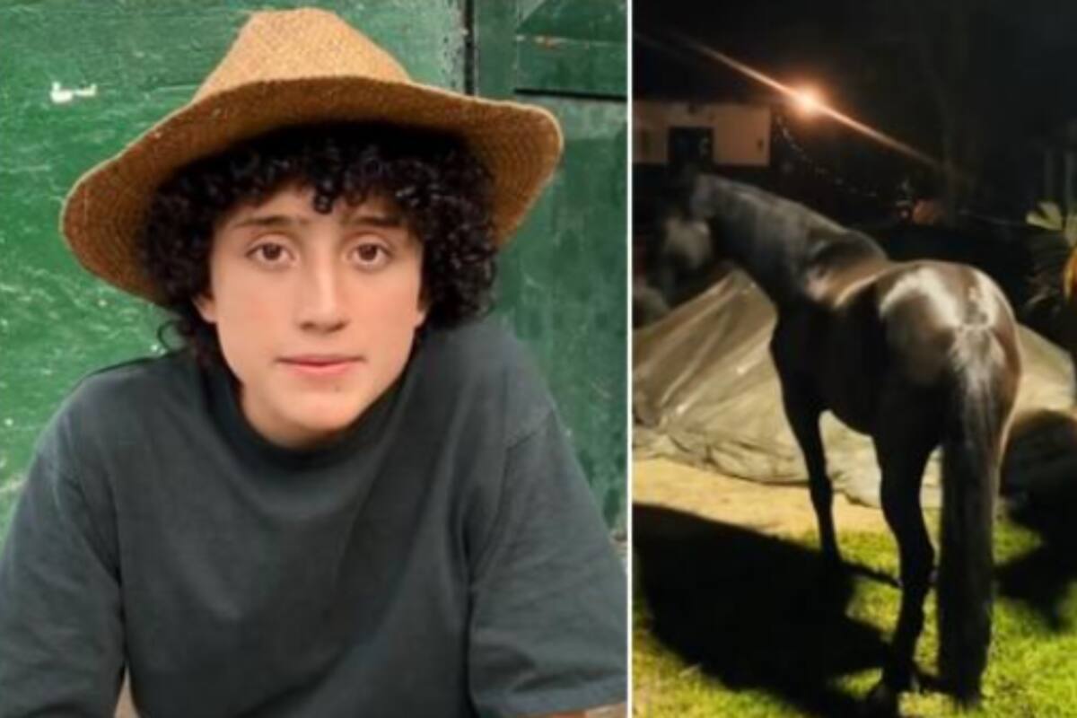 VIDEO: Niño granjero relata cómo sufrieron sus animales por fuegos artificiales de Navidad
