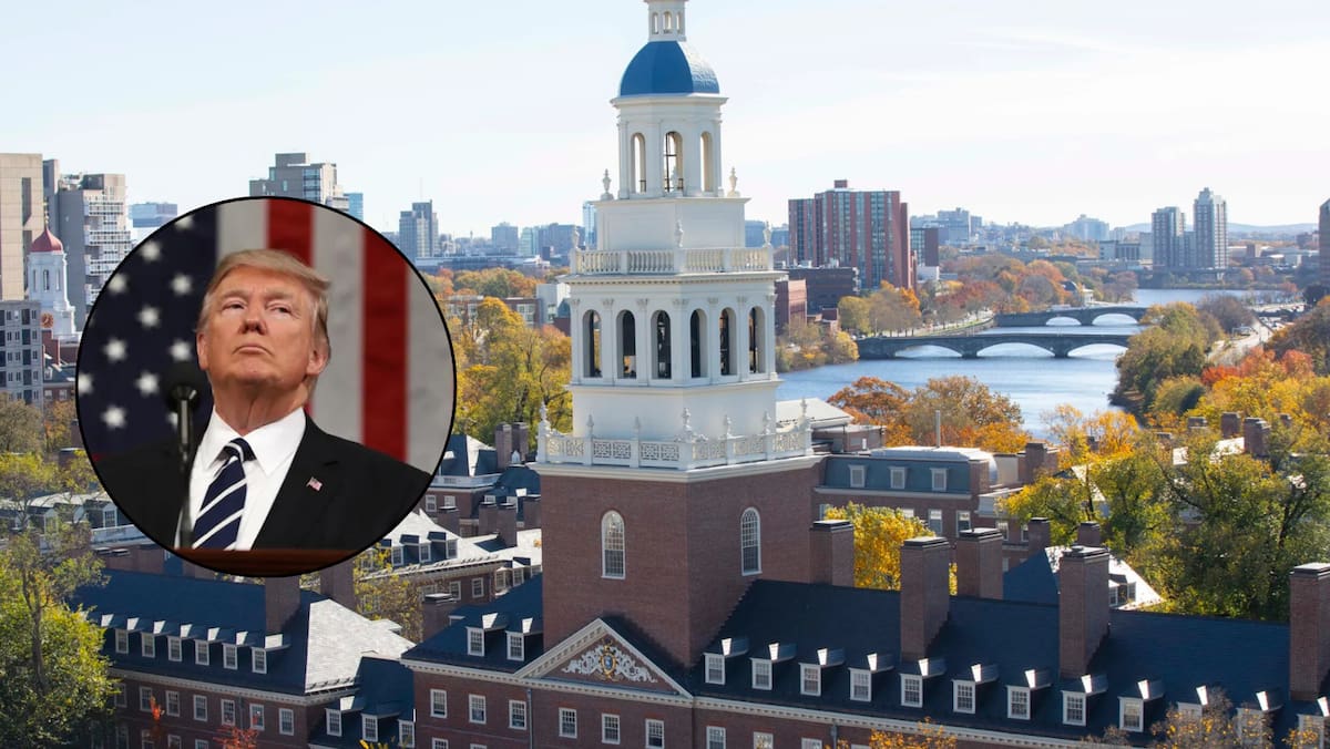 Trump anuncia que buscará quitar beneficios fiscales a la Universidad de Harvard. Foto: EFE y harvard.edu