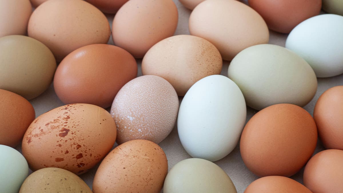 Los costos por transporte y logística se mantienen elevados, por lo que productos como el huevo, aunque bajen su costo desde los productores, no lo hacen con el consumidor. | Foto: Canva