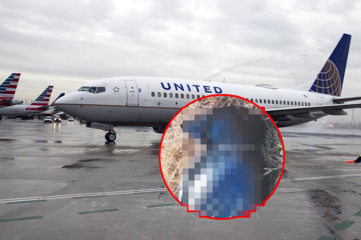 United Airlines: Hallan cádaver en cavidad de rueda de avión, esto se sabe