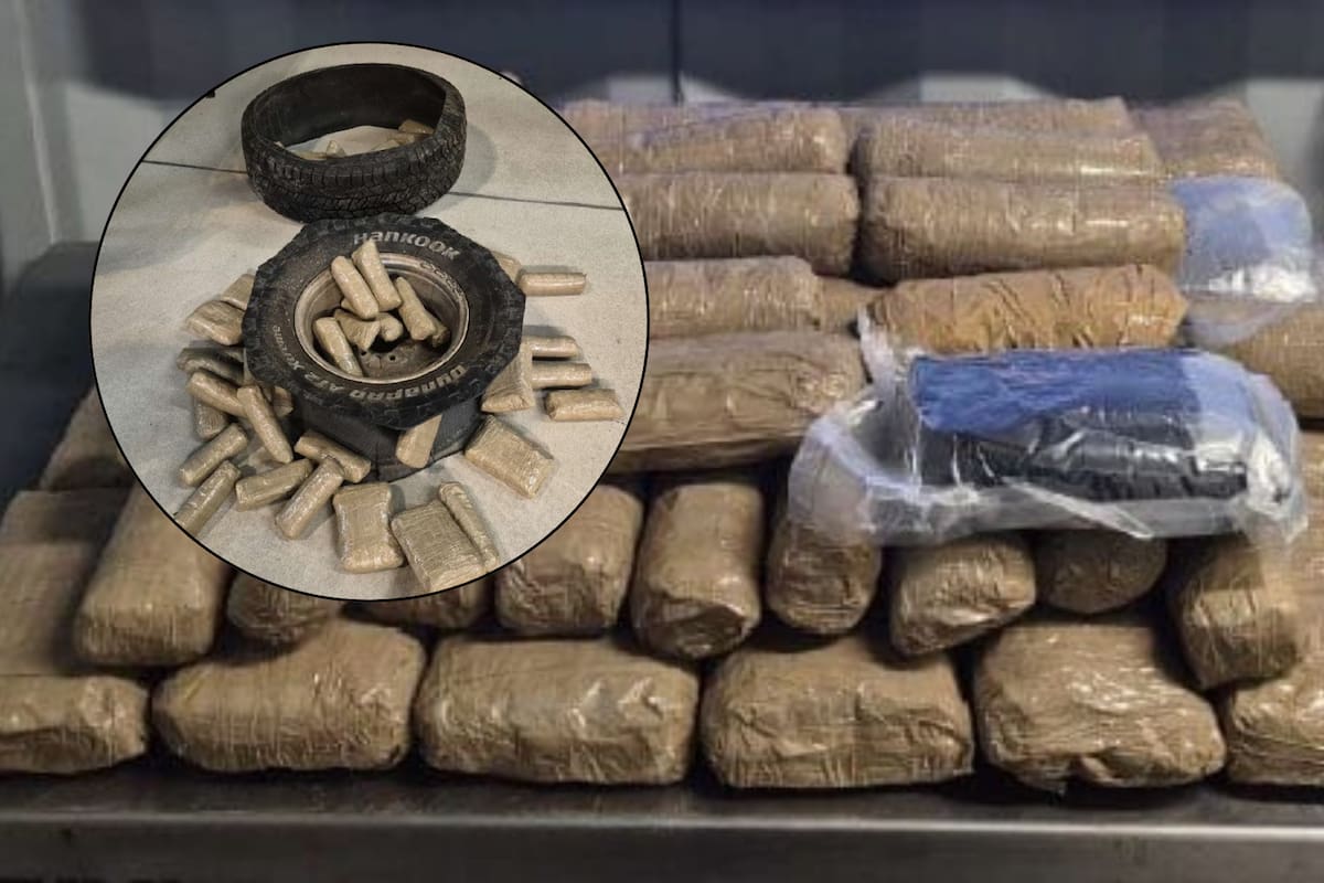 Millonario decomiso de narcóticos en garita de Nogales