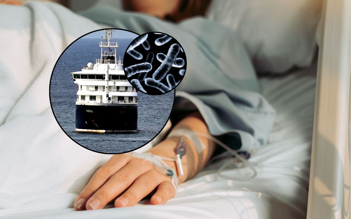 Reportan delicada a pasajera francesa del MV Hondius; hantavirus dañó sus pulmones y requiere asistencia artificial. Foto: Canvas, AP